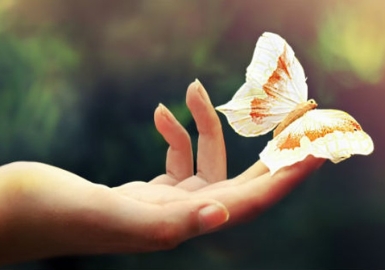 Thay đổi vận mệnh