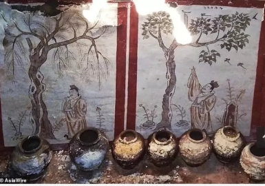 Vô Tri Bất Mộ