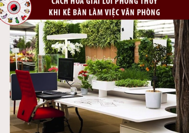 NÊN VÀ KHÔNG NÊN TRONG PHONG THỦY NƠI CÔNG SỞ