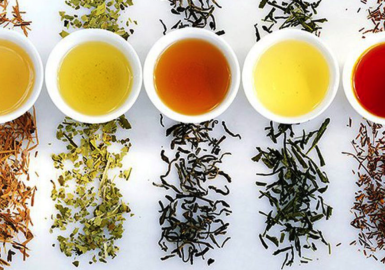 CÁC GIỐNG TRÀ