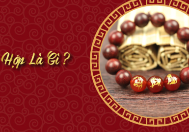 PHONG THỦY TAM HỢP PHÁI (01)