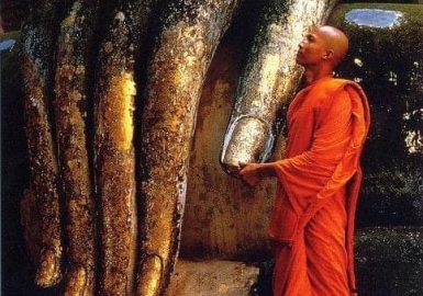 Khả năng tuỳ duyên của ta càng lớn thì sự thanh thản trong tâm hồn sẽ càng lớn